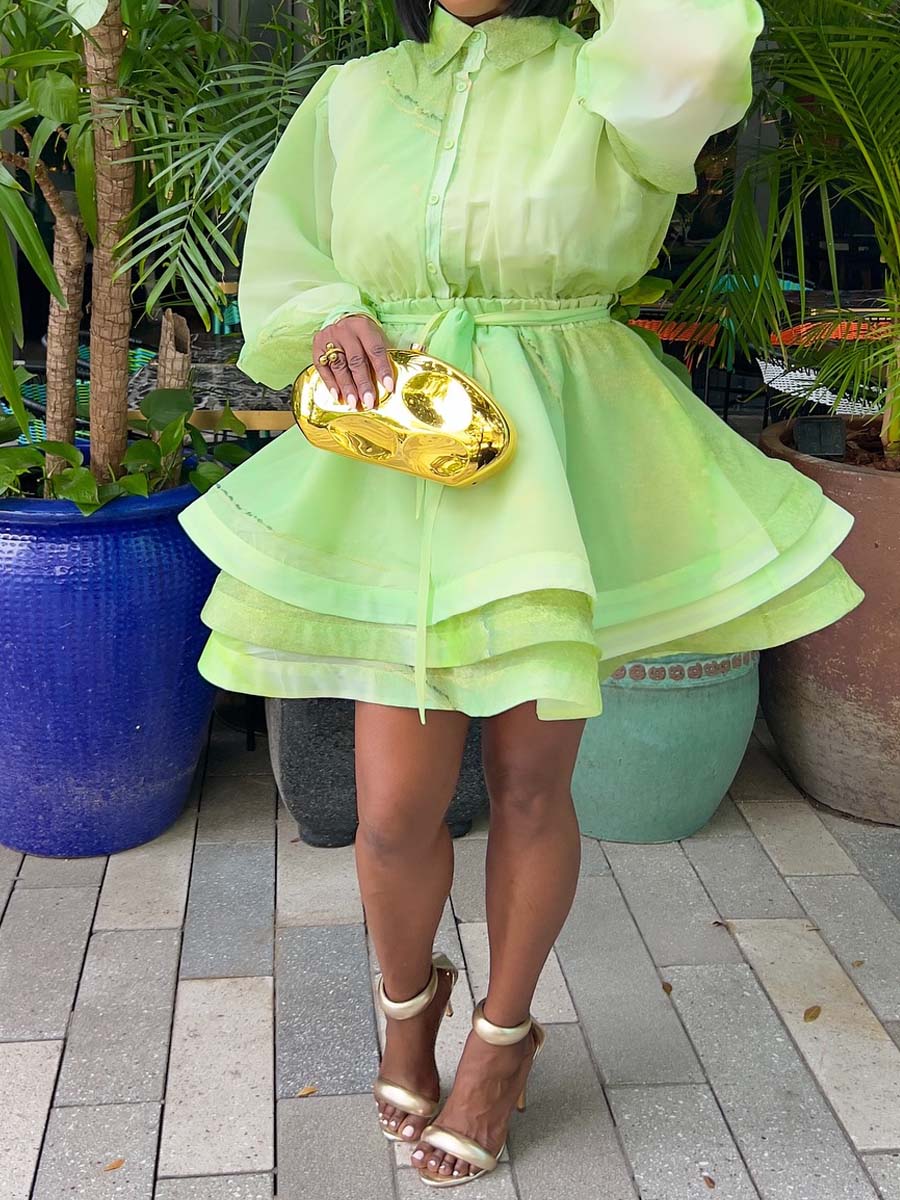 Fashion Flouced Hem Mini Dress