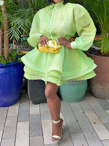 Fashion Flouced Hem Mini Dress