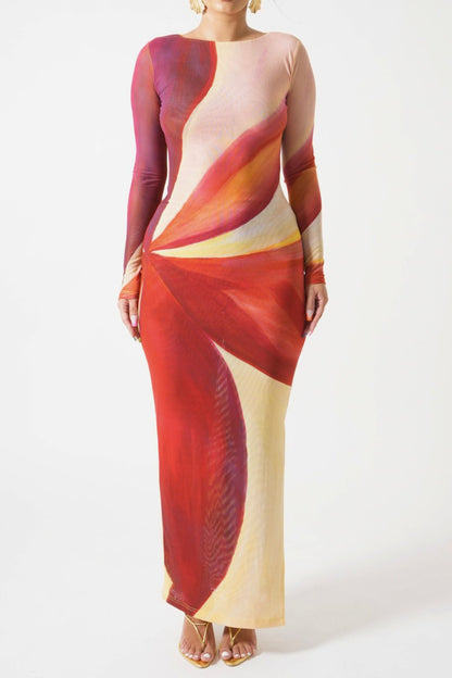 Round Neck Sexy Mesh Printed Slim Maxi Dress